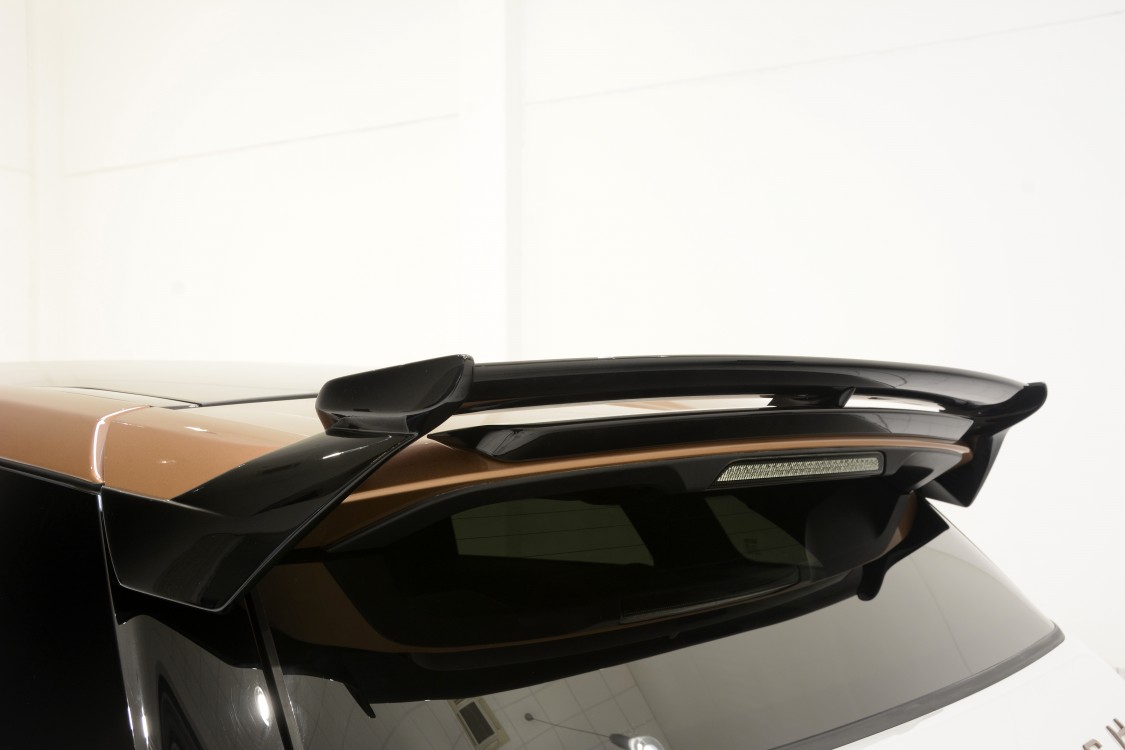 LAND ROVER range rover evoque 2011 photo 6